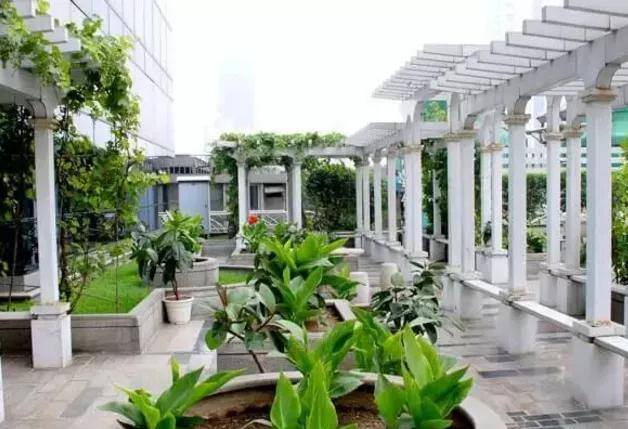 湖北凱蒂園林告訴你園林綠化工程主要包含哪些內(nèi)容？
